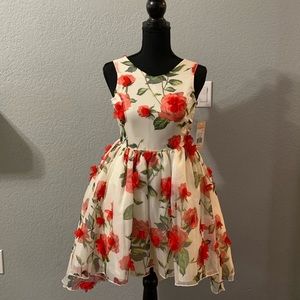 Beautiful formal dress